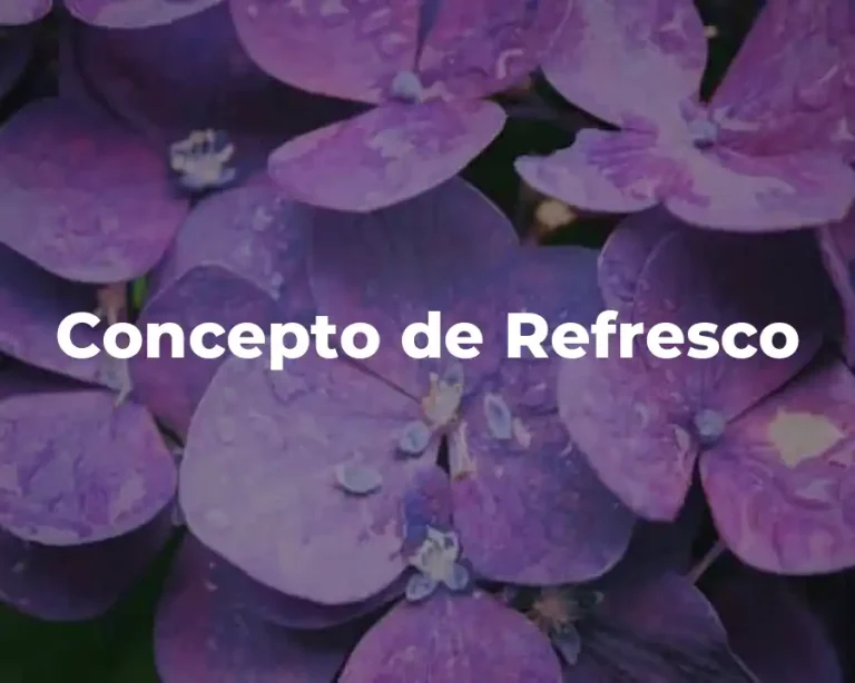 Concepto de Refresco