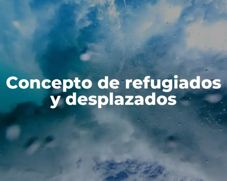 Concepto de refugiados y desplazados