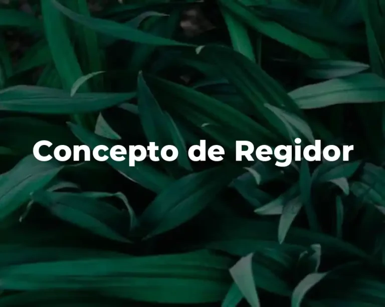 Concepto de Regidor