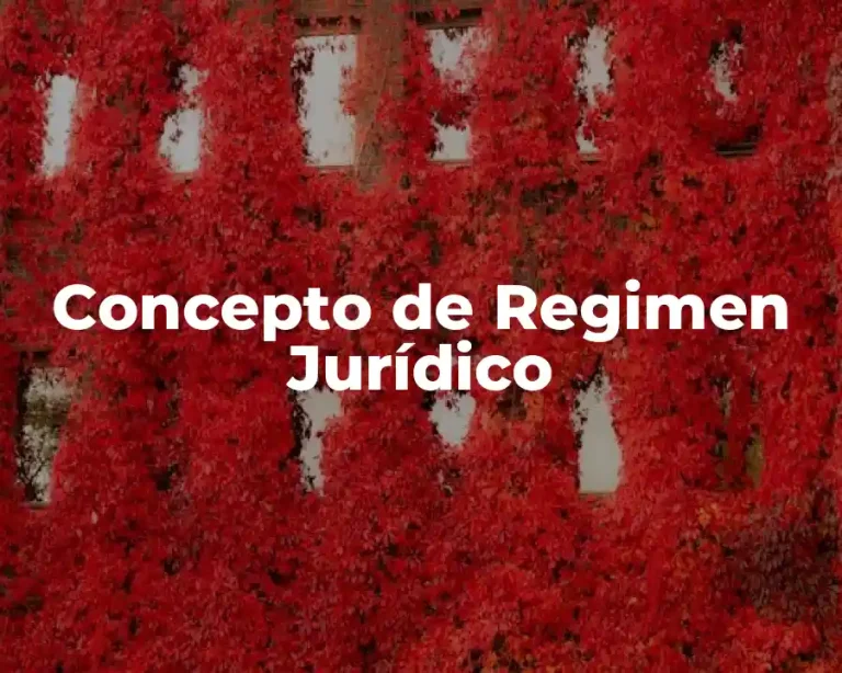 Concepto de Regimen Jurídico