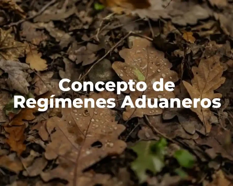Concepto de Regímenes Aduaneros