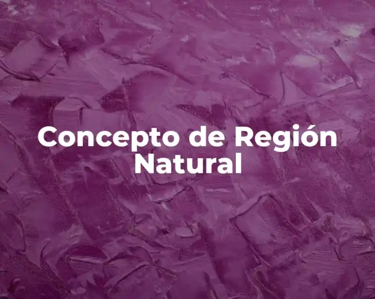 Concepto de Región Natural