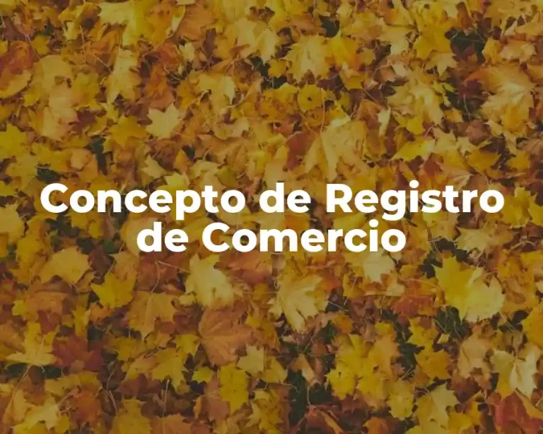 Concepto de Registro de Comercio