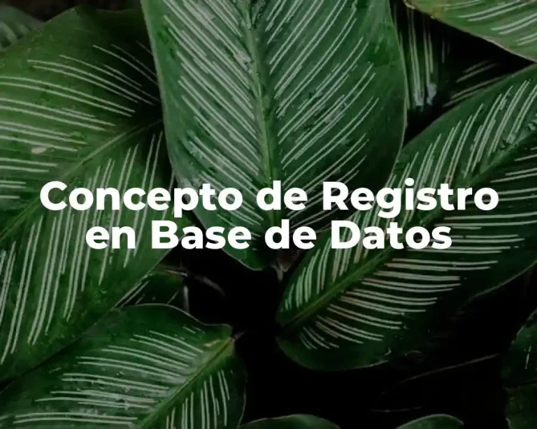 Concepto de Registro en Base de Datos