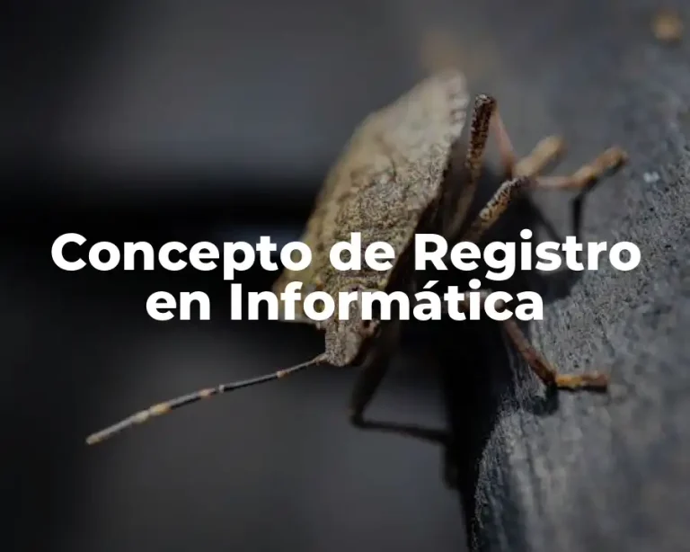 Concepto de Registro en Informática