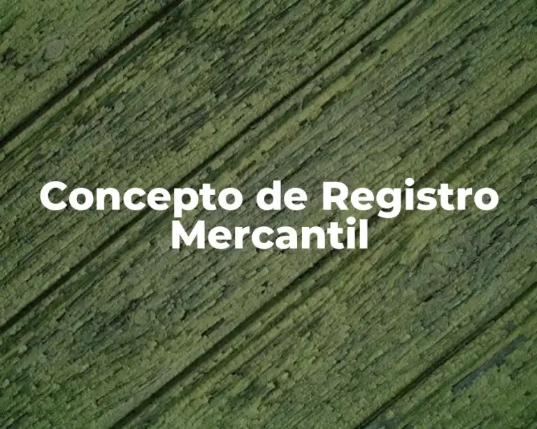 Concepto de Registro Mercantil