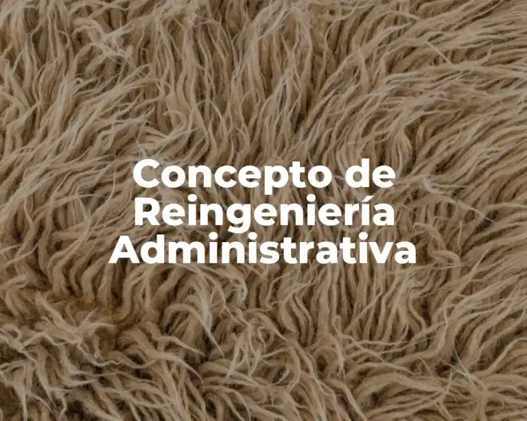 Concepto de Reingeniería Administrativa