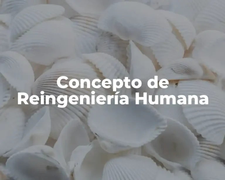 Concepto de Reingeniería Humana