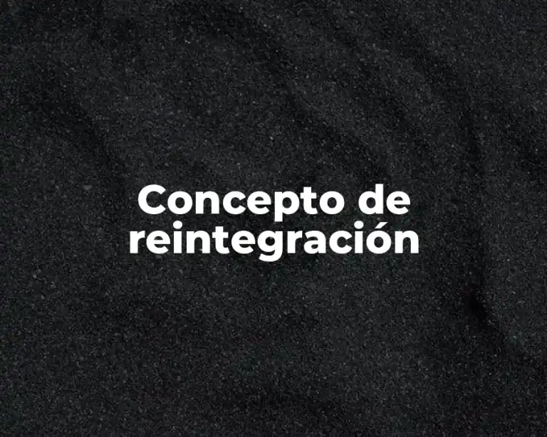 Concepto de reintegración