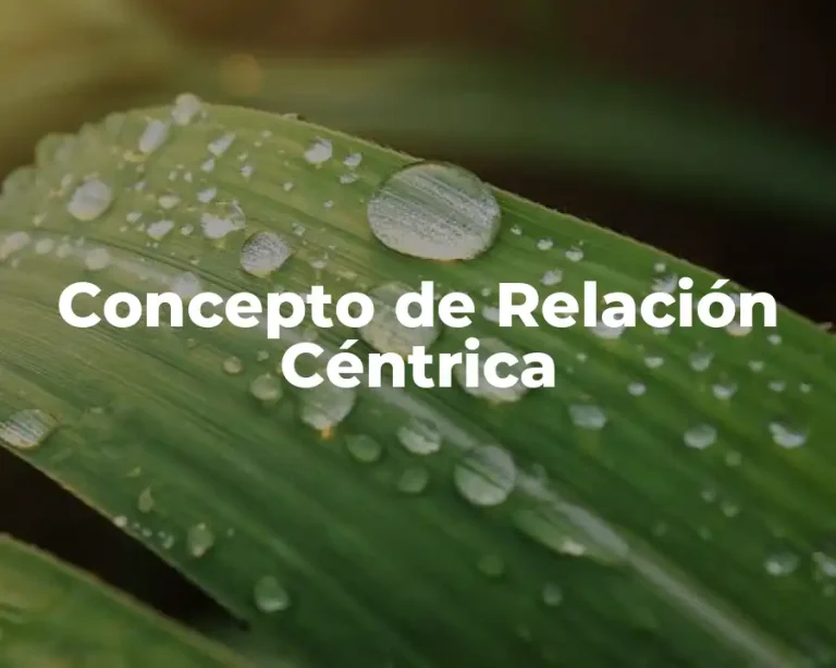 Concepto de Relación Céntrica