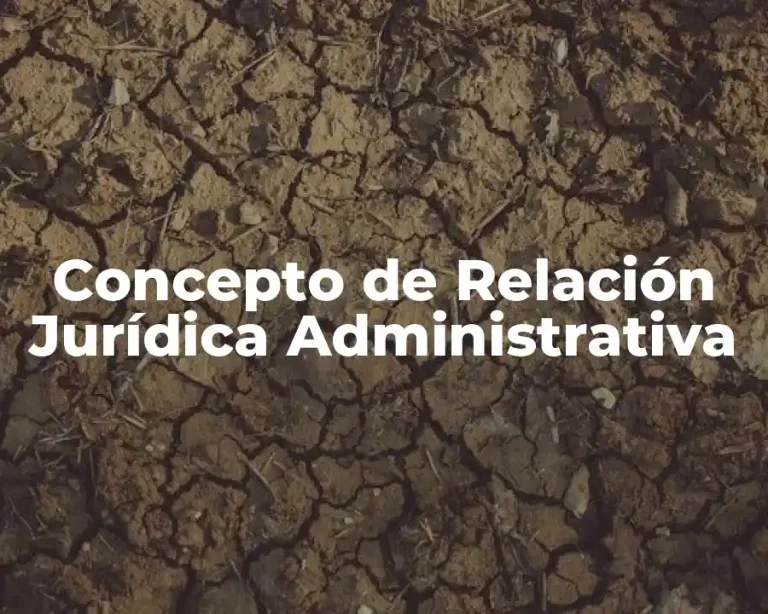 Concepto de Relación Jurídica Administrativa