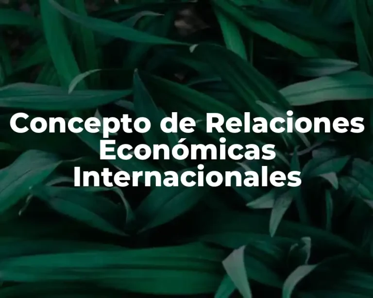 Concepto de Relaciones Económicas Internacionales