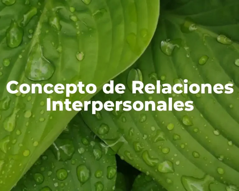 Concepto de Relaciones Interpersonales