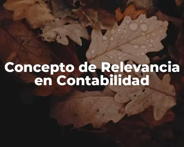 Concepto de Relevancia en Contabilidad