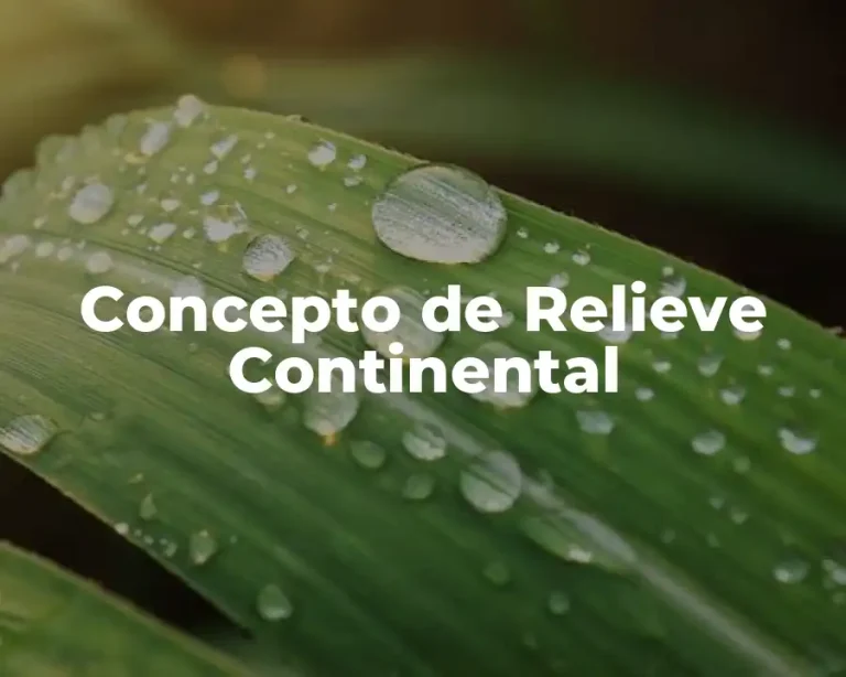 Concepto de Relieve Continental