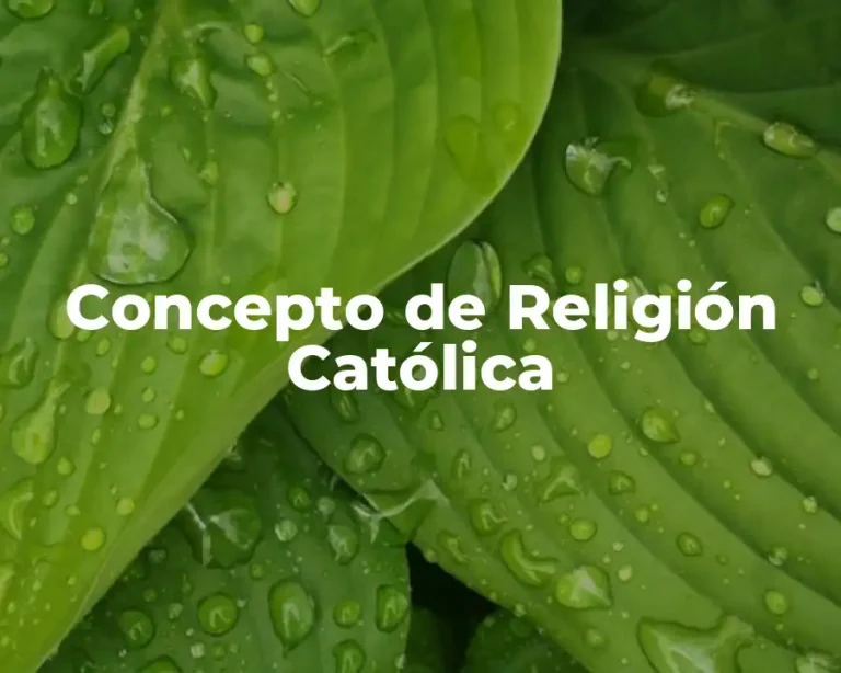 Concepto de Religión Católica