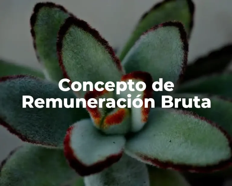 Concepto de Remuneración Bruta