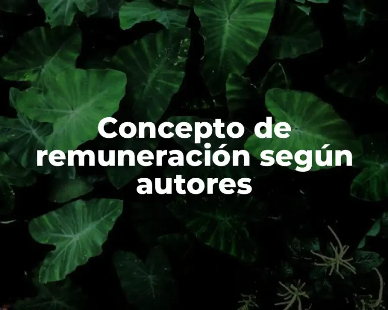 Concepto de remuneración según autores