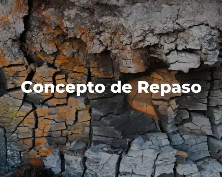 Concepto de Repaso