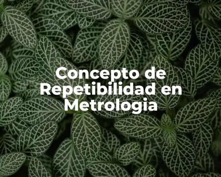 Concepto de Repetibilidad en Metrologia