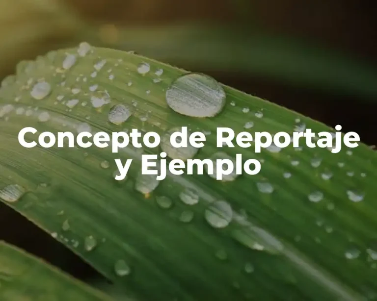 Concepto de Reportaje y Ejemplo