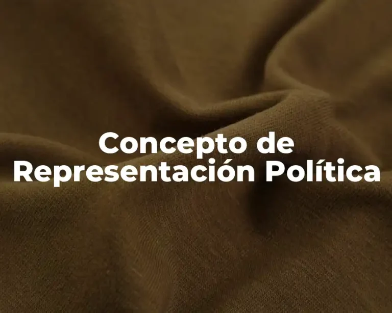 Concepto de Representación Política