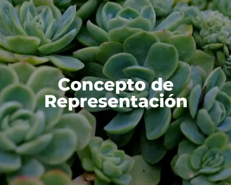 Concepto de Representación