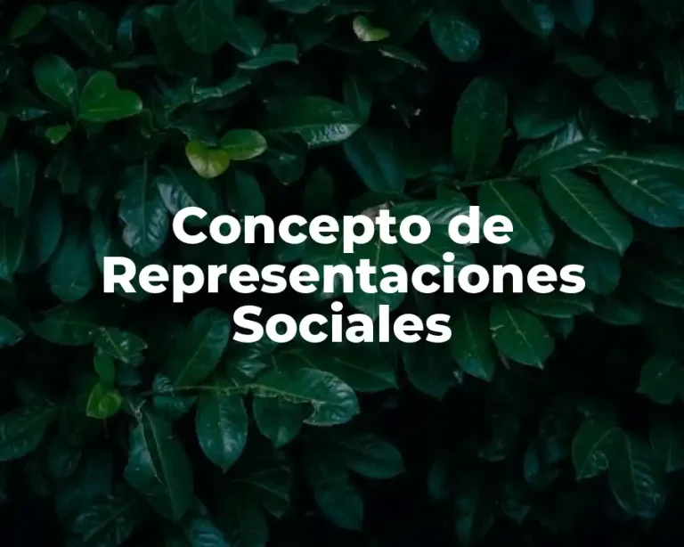 Concepto de Representaciones Sociales