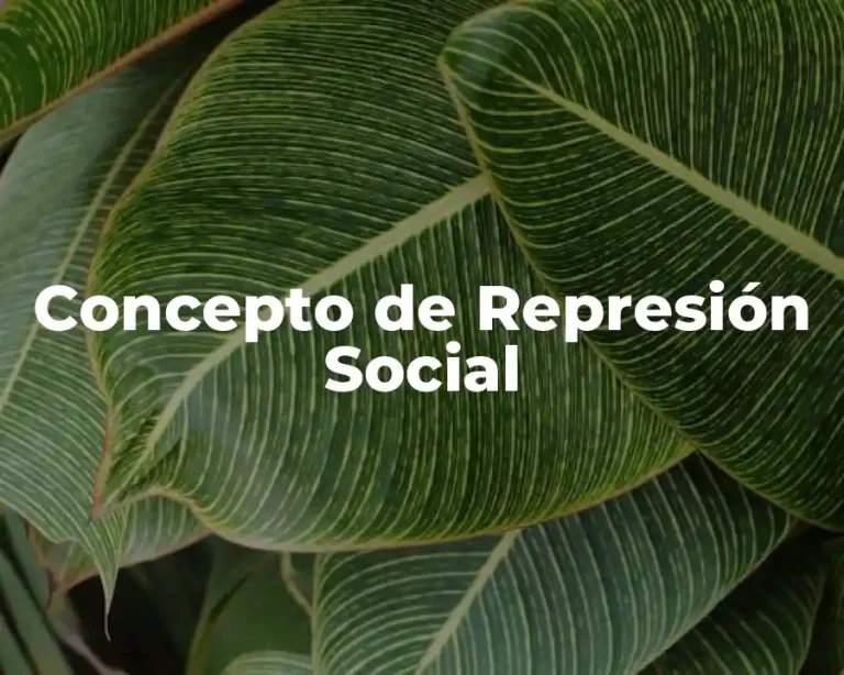 Concepto de Represión Social
