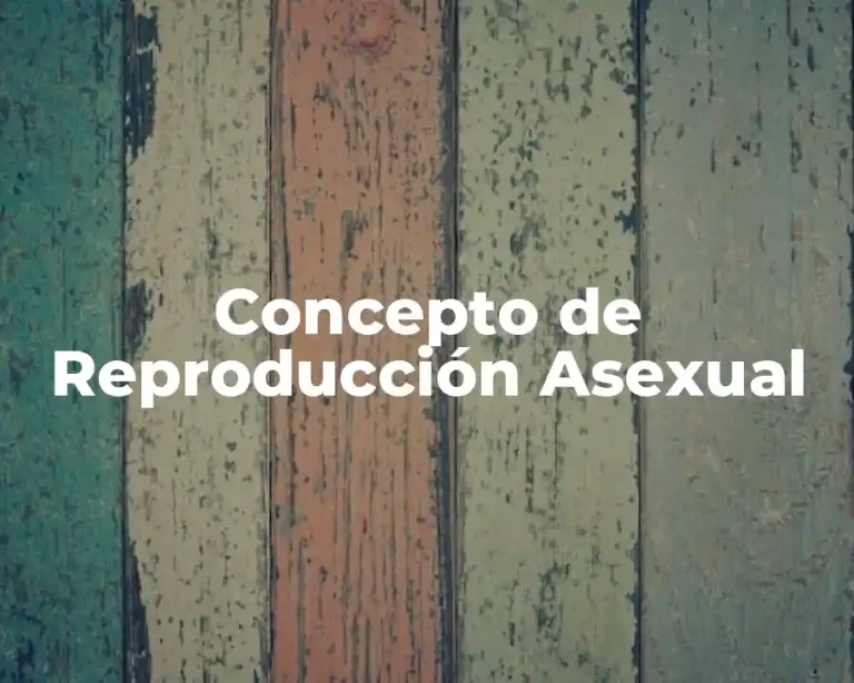 Concepto de Reproducción Asexual