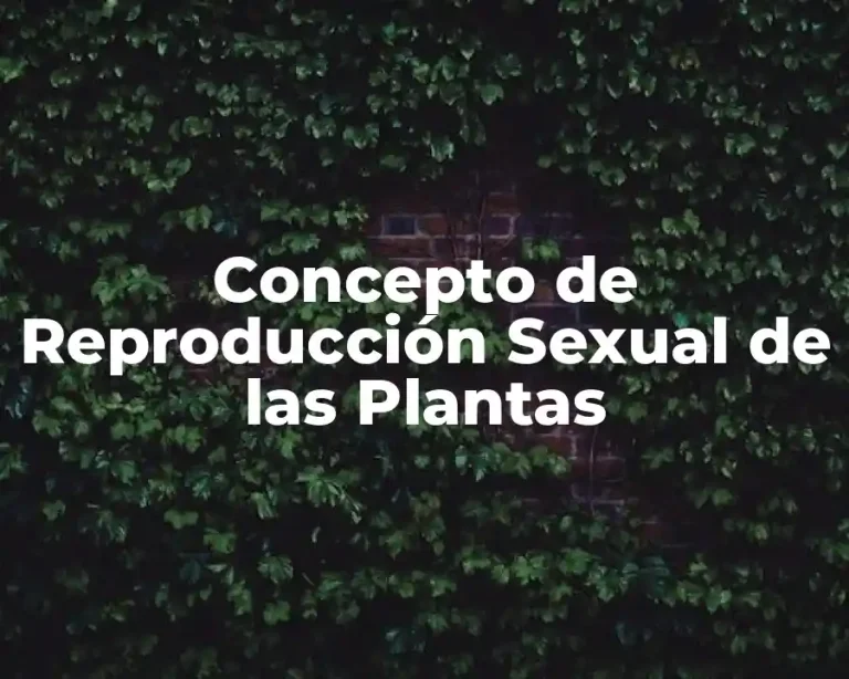 Concepto de Reproducción Sexual de las Plantas