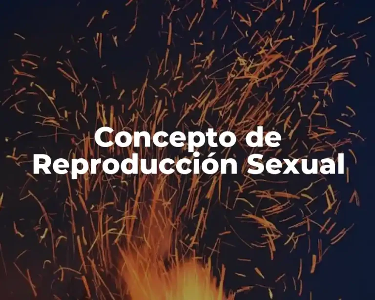 Concepto de Reproducción Sexual