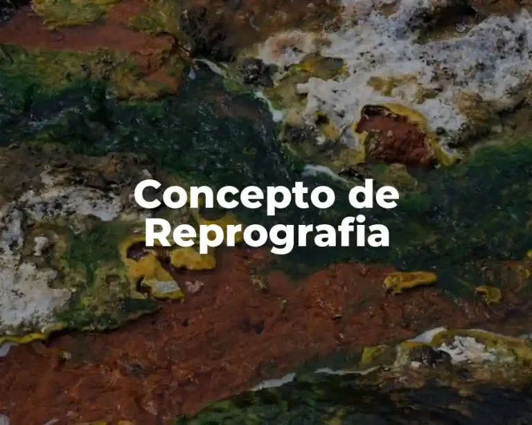 Concepto de Reprografia