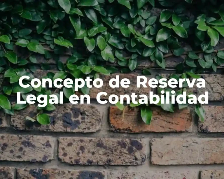 Concepto de Reserva Legal en Contabilidad