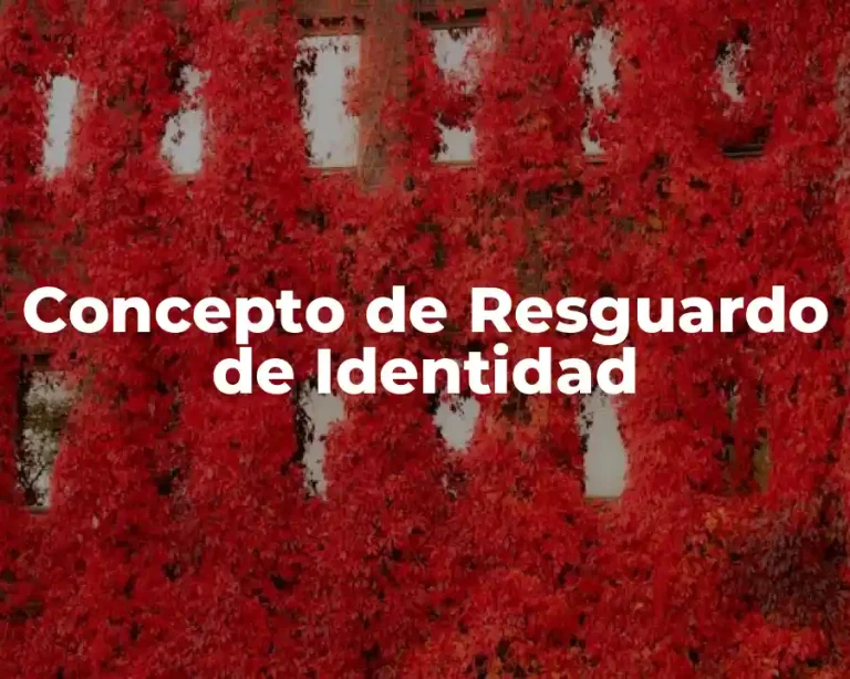 Concepto de Resguardo de Identidad