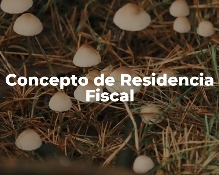 Concepto de Residencia Fiscal