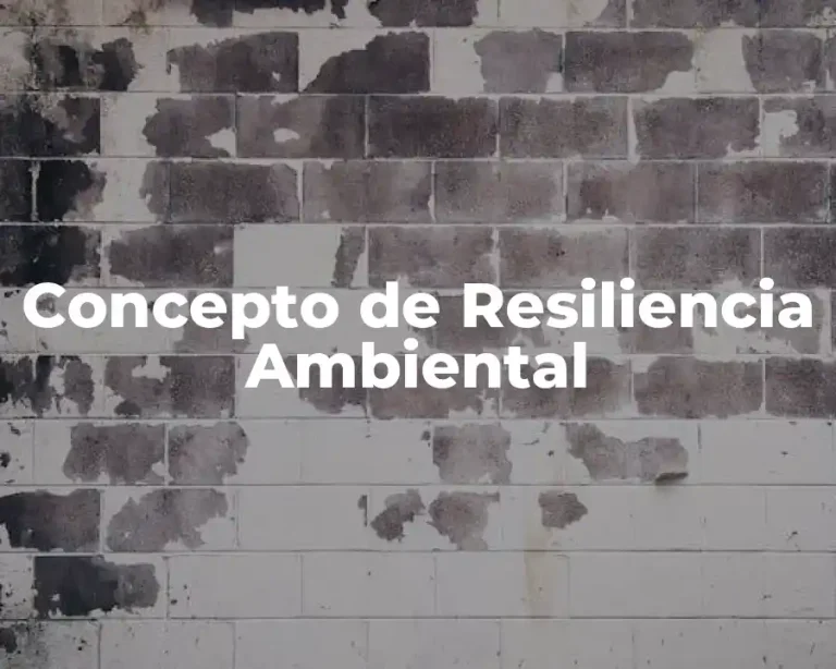 Concepto de Resiliencia Ambiental