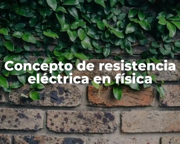 Concepto de resistencia eléctrica en física
