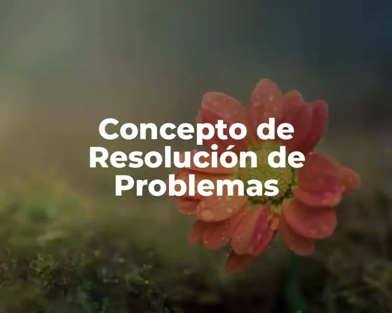 Concepto de Resolución de Problemas