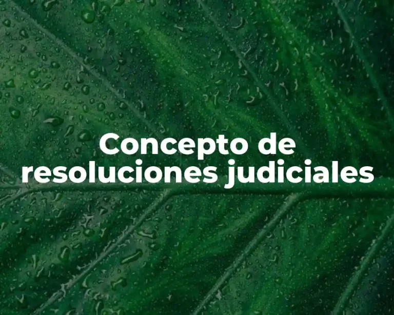 Concepto de resoluciones judiciales