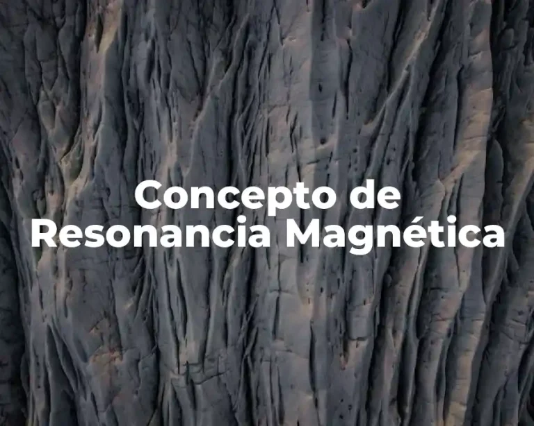 Concepto de Resonancia Magnética