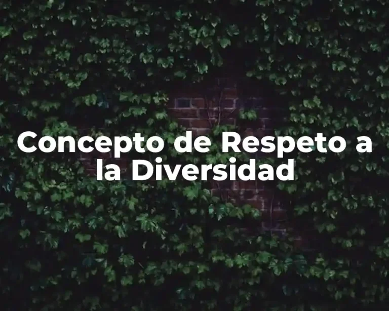 Concepto de Respeto a la Diversidad