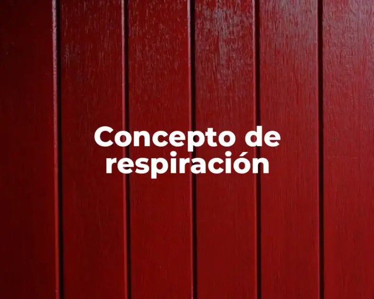 Concepto de respiración