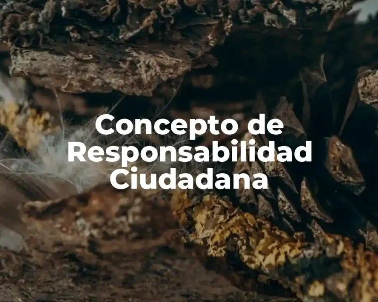 Concepto de Responsabilidad Ciudadana