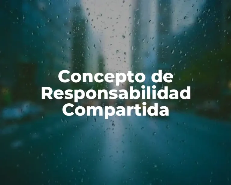 Concepto de Responsabilidad Compartida