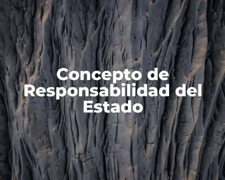 Concepto de Responsabilidad del Estado