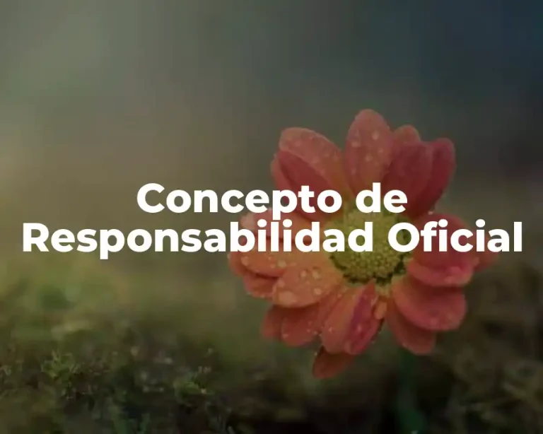 Concepto de Responsabilidad Oficial