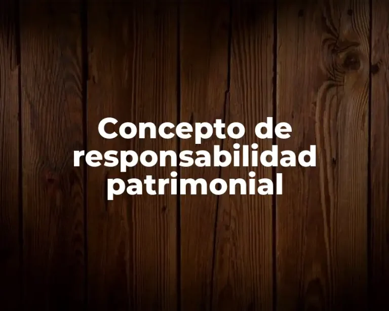 Concepto de responsabilidad patrimonial