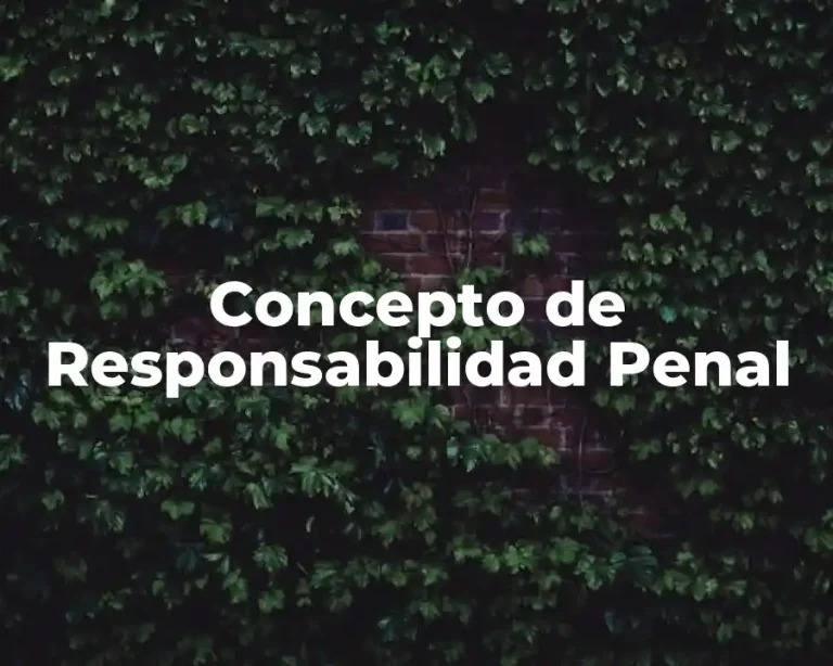 Concepto de Responsabilidad Penal