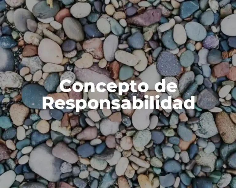 Concepto de Responsabilidad